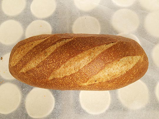 Popular Bakery